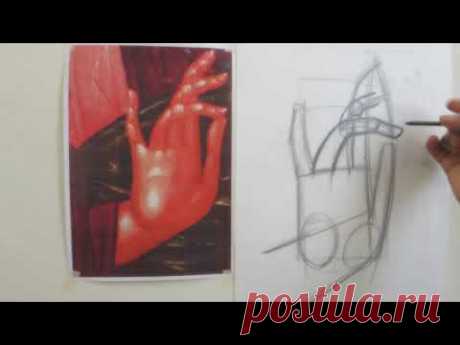 Рисунок кисти руки 2