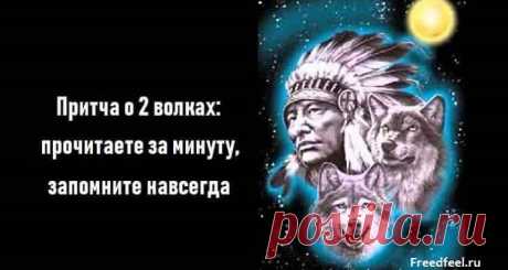 Притча о 2 волках: прочитаете за минуту, запомните навсегда