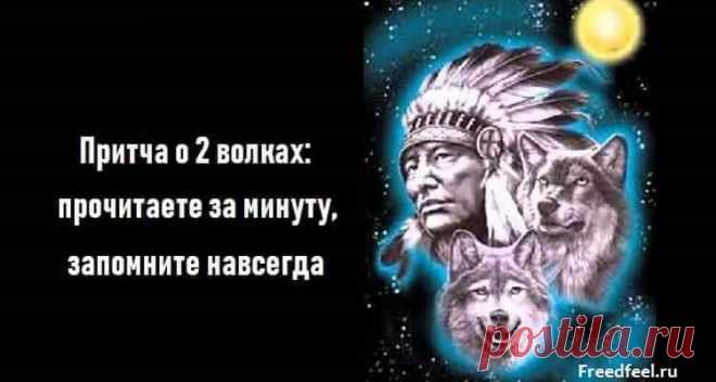 Притча о 2 волках: прочитаете за минуту, запомните навсегда