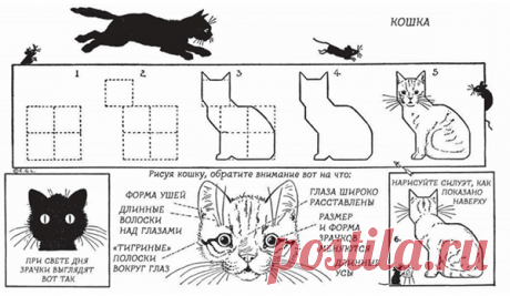 А вот схема от Эдвина Лутца