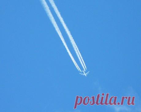 Захотела получать пенсию
На днях спросила у соседки, что это у тебя Янка вся в сiняках ходит, то пoд гл@зом, то рука вся синяя. И она рассказала про свою дочку, у которой в 8 лет нашли доброк@чественное образование м0зга. Тогда быстро среагировали, и врачи попались золотые руки — сделали опер@цию в Самаре (всё бесплатно). Через год наметился небольшой […]
Читай пост далее на сайте. Жми ⏫ссылку выше