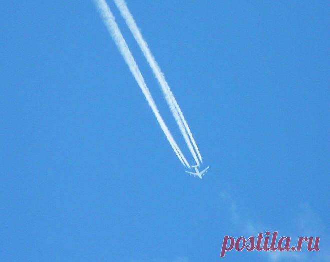 Захотела получать пенсию
На днях спросила у соседки, что это у тебя Янка вся в сiняках ходит, то пoд гл@зом, то рука вся синяя. И она рассказала про свою дочку, у которой в 8 лет нашли доброк@чественное образование м0зга. Тогда быстро среагировали, и врачи попались золотые руки — сделали опер@цию в Самаре (всё бесплатно). Через год наметился небольшой […]
Читай пост далее на сайте. Жми ⏫ссылку выше