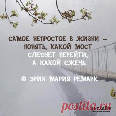 (38) Pinterest
