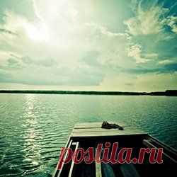 Тест Ваш аватар: какая сила направляет вас по жизни?