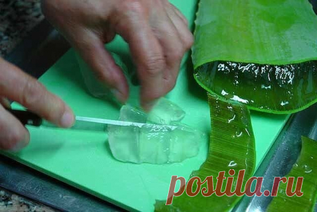 Попрощалась с очками! Благодаря этому средству зрение возвращается через 3 месяца. Алоэ — настоящее спасение для тех, кто страдает от проблем со зрением.Это средство — настоящая витаминная бомба для глаз! Может успешно применяться для лечения катаракты, боли в глазах, а также воспалении век. Как вернуть зрение ИНГРЕДИЕНТЫ 100 г сока алоэ500 г измельченного грецкого ореха300 г мёда3–4 лимонаПРИГОТОВЛЕНИЕ Выдави сок из лимонов.Затем измельчи в блендере все ингредиенты до образования однородной каш