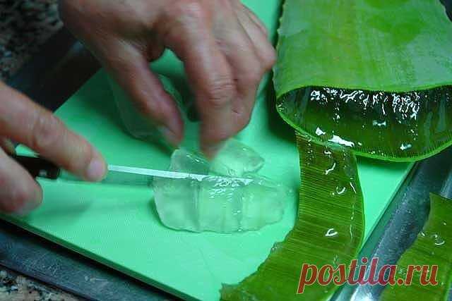 Попрощалась с очками! Благодаря этому средству зрение возвращается через 3 месяца. Алоэ — настоящее спасение для тех, кто страдает от проблем со зрением.Это средство — настоящая витаминная бомба для глаз! Может успешно применяться для лечения катаракты, боли в глазах, а также воспалении век. Как вернуть зрение ИНГРЕДИЕНТЫ 100 г сока алоэ500 г измельченного грецкого ореха300 г мёда3–4 лимонаПРИГОТОВЛЕНИЕ Выдави сок из лимонов.Затем измельчи в блендере все ингредиенты до образования однородной каш