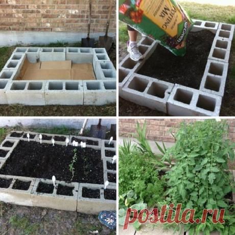 Советы дачникам, которые действительно работают