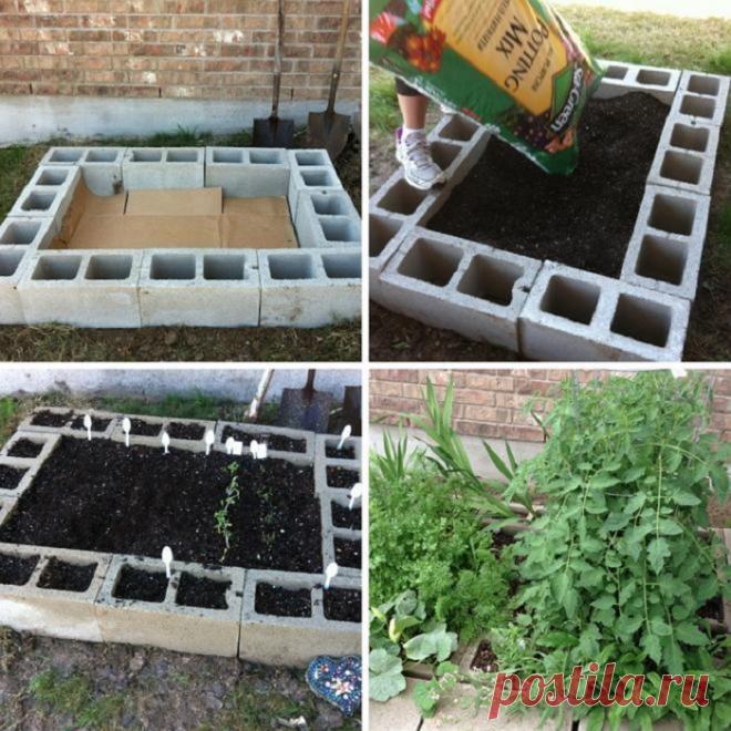 Советы дачникам, которые действительно работают