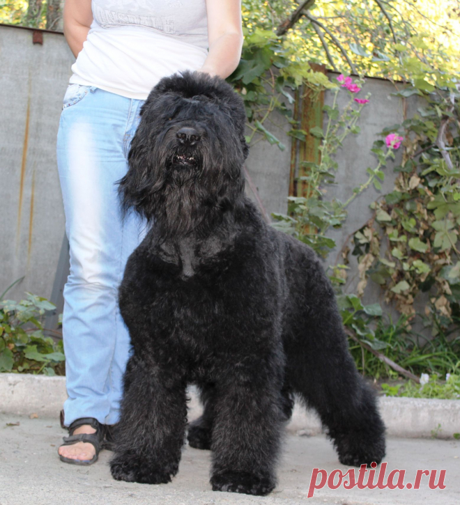 Аватар
возраст 3 года