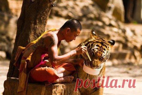 Если хотите в этой жизни попробовать все, попробуйте быть добрым, чeстным и нeиспорчeнным.
С.А.Есенин – Клен ты мой опавший, клен заледенелый...