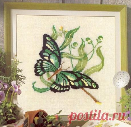 Вышивка крестом бабочка. Как вышить бабочку крестиком Вышивка крестом бабочка. Как вышить бабочку крестиком