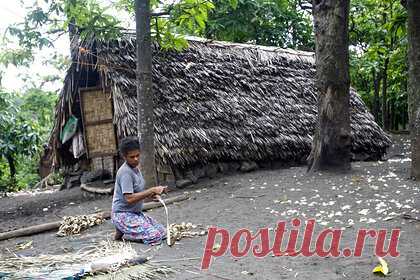 Найден идеальный дом для выживания в стихийных бедствиях. Жители островного государства Вануату в Тихом океане возобновили строительство традиционного жилья «циклонный дом» (saeklon haos), которое доказало устойчивость во время природных катаклизмов несколько лет назад. Найден секрет хижин из растительности, который делает их безопаснее бетонных зданий.