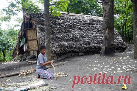 Найден идеальный дом для выживания в стихийных бедствиях. Жители островного государства Вануату в Тихом океане возобновили строительство традиционного жилья «циклонный дом» (saeklon haos), которое доказало устойчивость во время природных катаклизмов несколько лет назад. Найден секрет хижин из растительности, который делает их безопаснее бетонных зданий.