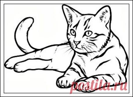 Учимся рисовать. | Записи в рубрике Учимся рисовать. | Дневник Vesna-May