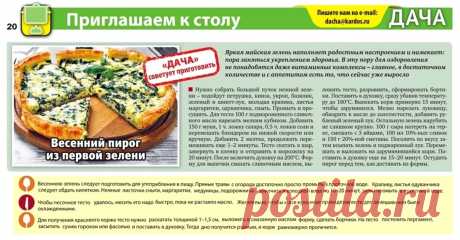 Весенний пирог из первой зелени