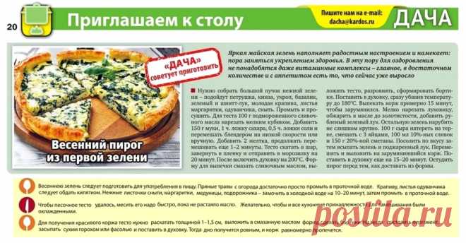 Весенний пирог из первой зелени