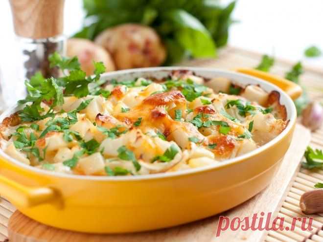 3 простых рецепта запеканки («Творожная», «Картофельная с фаршем», «Из кабачков»)