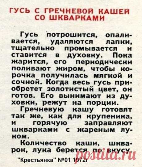 Гусь с гречневой кашей и шкварками