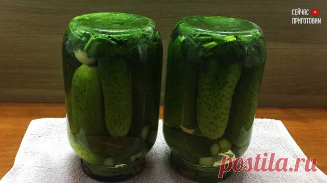 МАРИНОВАННЫЕ ОГУРЦЫ НА ЗИМУ. Кто первый раз пробует – просит рецепт! - Женский блог