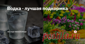 Водка - лучшая подкормка