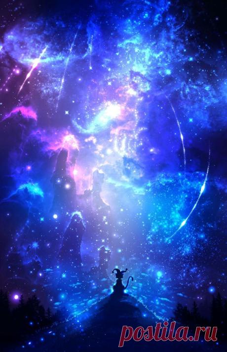 b29ae646a4b7248dbbc83358d4e1daba.jpg (564×874)