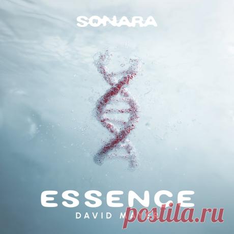 VIP - David Mayer - Essence | DJ | SoundMasters | Service