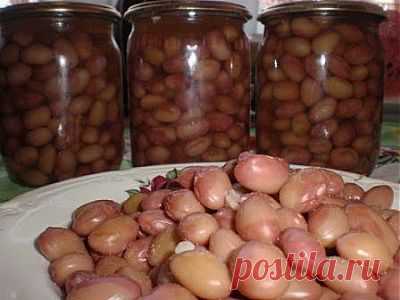 фасоль маринованная на зиму &raquo; РЕЦЕПТЫ 2014. Вкусные и простые рецепты. Кулинарные рецепты с фотографиями на каждый день! Рецепты тортов, рецепты салатов, рецепты первых и основных блюд для всех!
