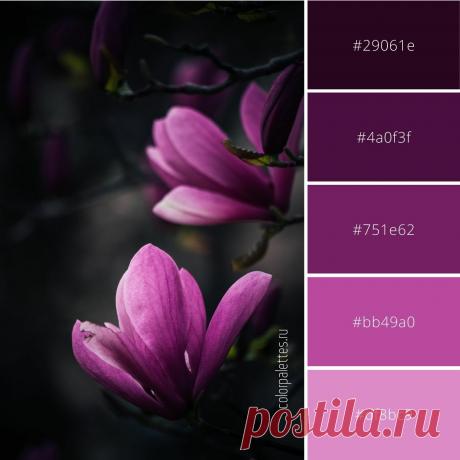 Гармоничное сочетание фиолетового. Скачать палитру с кодами цвета можно на сайте. #цветовоесочетание #цветоваяпалитра #кодцвета #цветы #flowers #colorinspiration #colorcode #colorpalette