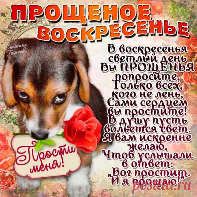ПРОЩЕННОЕ воскресенье 2022: стихи красивые, короткие, СМС, четверостишье