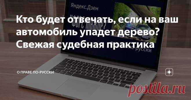 Кто будет отвечать, если на ваш автомобиль упадет дерево? Свежая судебная практика Попытки ответчика 