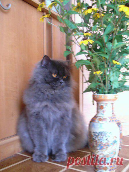 Мой Мир@Mail.Ru