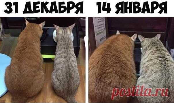 После новогодних праздников