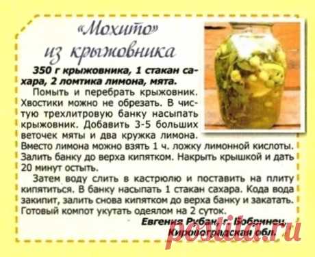 &quot;Мохито&quot; из крыжовника