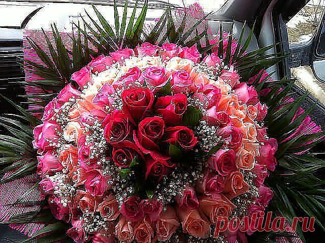 Красивые Цветы  Для Тебя