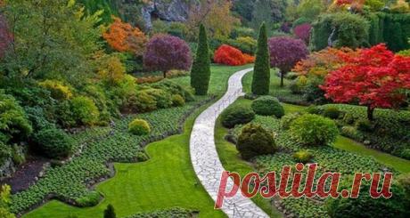 Ландшафтный дизайн.