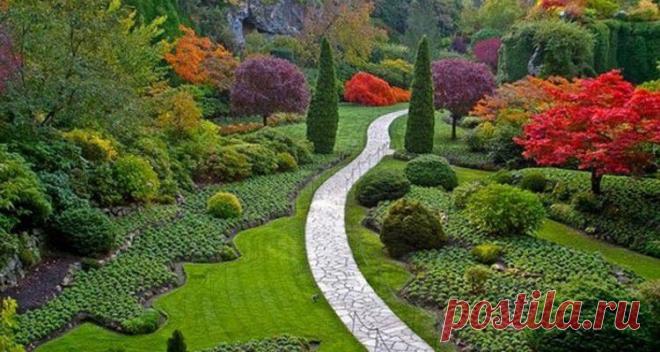 Ландшафтный дизайн.