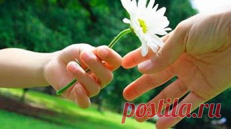 На Здоровье! – Google+