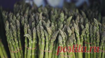 Эндокринолог Литвинчева: спаржу лучше всего употреблять в сыром виде. Эндокринолог Татьяна Литвинчева (Игнатова) рекомендовала употреблять спаржу в сыром виде. Читать далее