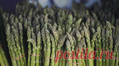 Эндокринолог Литвинчева: спаржу лучше всего употреблять в сыром виде. Эндокринолог Татьяна Литвинчева (Игнатова) рекомендовала употреблять спаржу в сыром виде. Читать далее