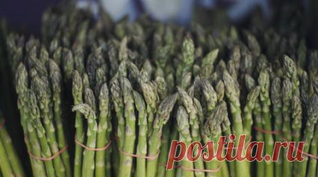 Эндокринолог Литвинчева: спаржу лучше всего употреблять в сыром виде. Эндокринолог Татьяна Литвинчева (Игнатова) рекомендовала употреблять спаржу в сыром виде. Читать далее