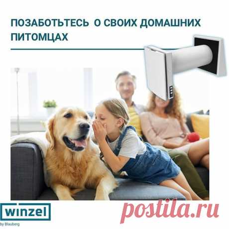 Позаботьтесь о своих домашних питомцах 

В холодное время года, когда включено отопление, в квартирах становится жарко и сухо.
И это негативно влияет на здоровье наших домашних питомцев - кошек, собак, хомячков, шиншилл, морских свинок и крыс. 
У животного может наблюдаться сопение, вызванное пересыханием слизистых оболочек носа и обострение проблем с дыхательной системой.
Показать полностью...