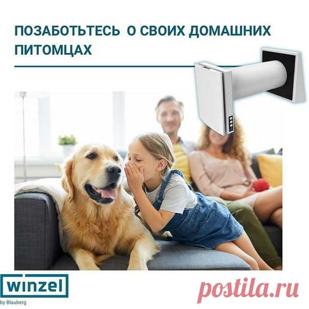 Позаботьтесь о своих домашних питомцах 

В холодное время года, когда включено отопление, в квартирах становится жарко и сухо.
И это негативно влияет на здоровье наших домашних питомцев - кошек, собак, хомячков, шиншилл, морских свинок и крыс. 
У животного может наблюдаться сопение, вызванное пересыханием слизистых оболочек носа и обострение проблем с дыхательной системой.
Показать полностью...