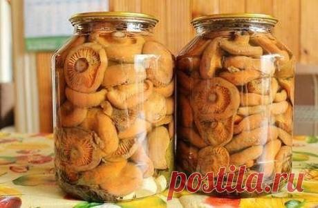 Как приготовить хрустящие рыжики  - рецепт, ингредиенты и фотографии