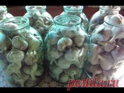 Хранение чеснока в банках и чистилка чеснока 
https://www.youtube.com/watch?v=0Df0YbyjLyw
