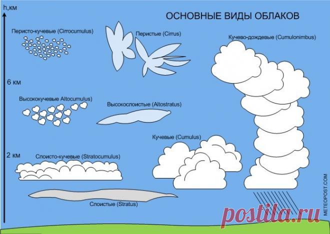 УЧИМСЯ ПРЕДВЕЩАТЬ ПОГОДУ ПО ПРИРОДНЫМ ПРИЗНАКАМ. БЕЗ ВСПОМОГАТЕЛЬНЫХ ПРИБОРОВ
