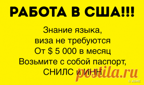 12 новых уловок мошенников, о которых нужно знать, чтобы не попасть в неприятности