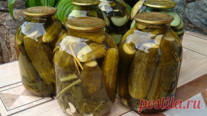Хрустящие и вкусные огурцы на зиму! Огурцы зимой больше не покупаю!