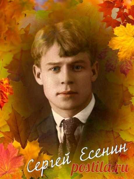 (25) Одноклассники