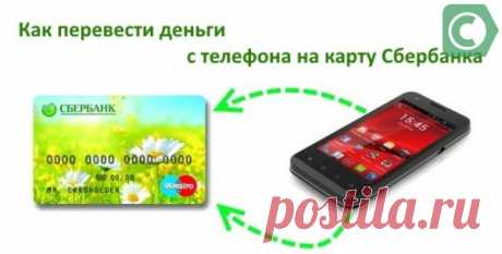Как БЫСТРО перевести деньги с телефона на карту сбербанка без комиссии: Мегафон, Билайн, МТС