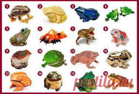 Шуточный тест-картинка «Лягушка богатства» Серьезные и подробные исследования — это, конечно, дело нужное и важное. Но порой шуточная проверка может нам поведать о человеке гораздо больше, чем многостраничный опросник. Вы, вероятно, слышали, ч...